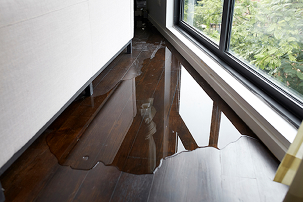 water damage bloomington il, water damage restoration bloomington il, water damage repair bloomington il